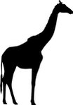  giraffe (209x300, 6Kb)