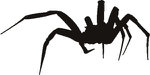  spider (300x150, 7Kb)