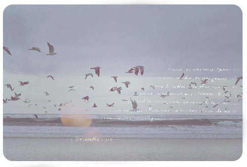 1746828_001 (500x338, 237Kb)