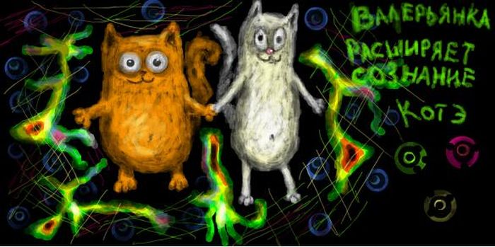 cats_05 (700x349, 52Kb)