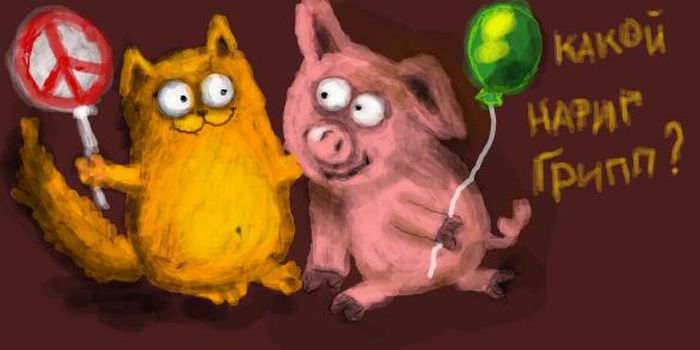 cats_09 (700x350, 32Kb)