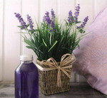  lavender-home-decorating-ideas2-10 (500x460, 62Kb)