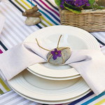  eco-summery-napkins-and-plates1-10 (600x600, 107Kb)