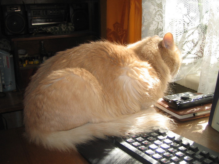   (700x525, 112Kb)