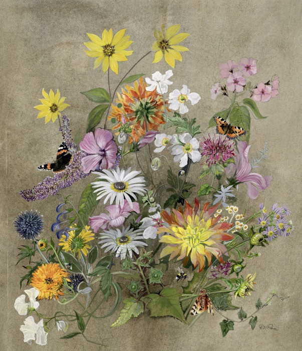 John Gubbins Summer Flowers (C20) (603x700, 201Kb)