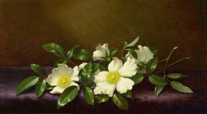 MARTIN JOHNSON HEADE (American, 1819-1904) (700x385, 95Kb)