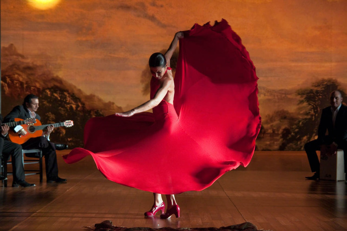 flamenco-flamenco-21 (700x466, 89Kb)