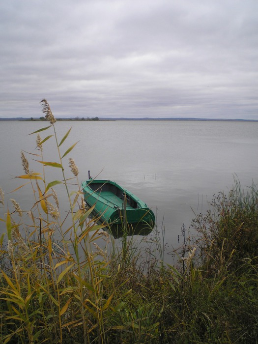P1010083 (525x700, 96Kb)