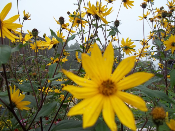 101_0285 (700x525, 151Kb)