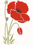  233-giant-poppy1-C10 (350x480, 22Kb)