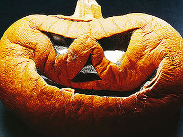 pumpkin-shriveled-pumpkin (636x477, 109Kb)