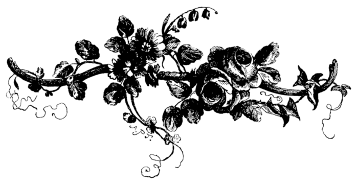 roses073 (700x362, 74Kb)