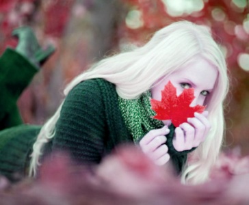 3885146_68665742 (364x300, 52Kb)