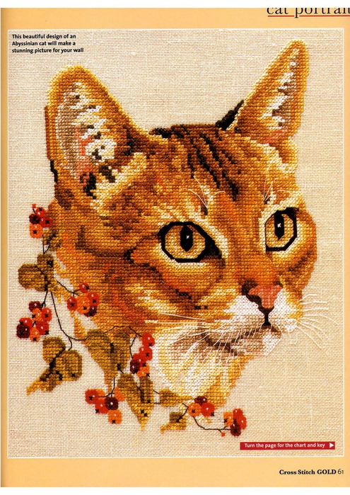 Cross Stitch Gold 09_Page_48 (495x700, 187Kb)