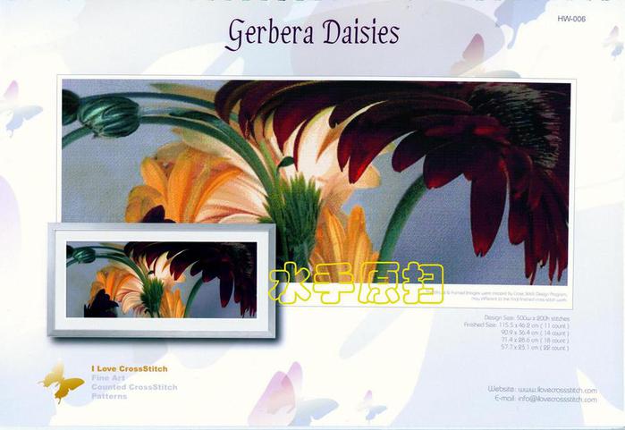 gerbera daisies (700x481, 45Kb)