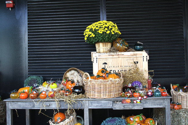 Glass Harvest - glass pumpkins  Flickr - Photo Sharing! (650x431, 660Kb)