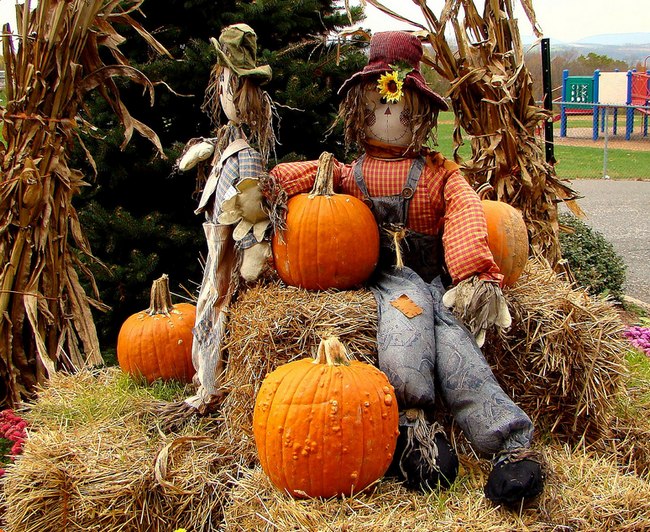 All sizes  Pumpkin Season  Flickr - Photo Sharing! (650x532, 933Kb)