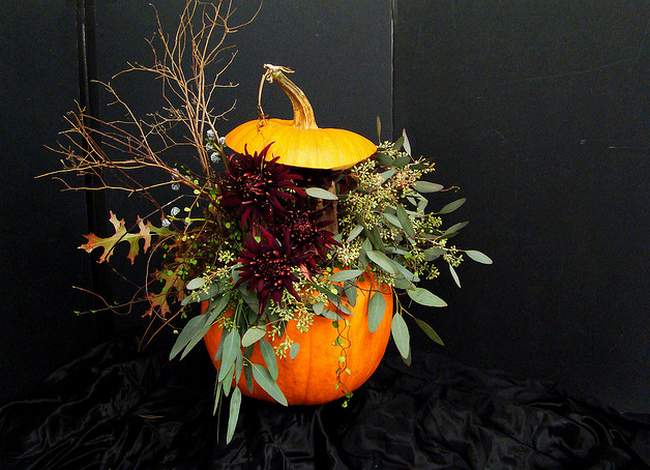 DSC02911 Pumpkin Arrangement back  Flickr - Photo Sharing! (650x470, 671Kb)