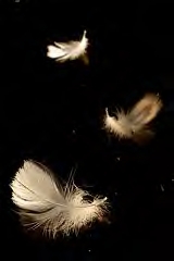 angels-above-feathery-white (160x240, 14Kb)