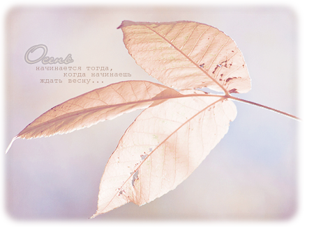 Epig_400 (450x335, 220Kb)