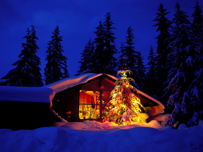 Christmas (23) (700x525, 117Kb)