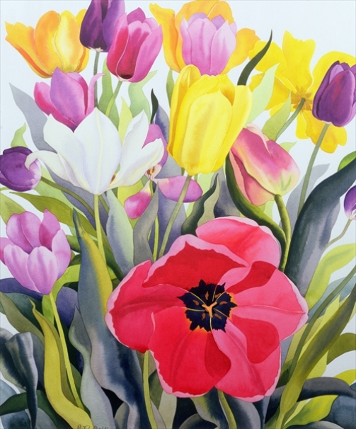 Tulips, 2007 (503x606, 245Kb)