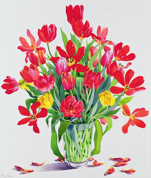 Tulips (510x600, 131Kb)