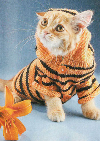 pets_10 (350x491, 52Kb)