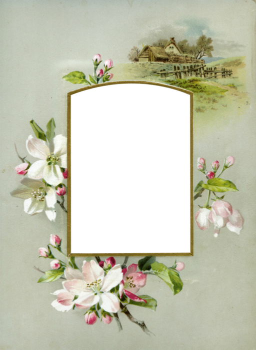 Floral_Frame_No3_by_DustyOldStock (512x700, 307Kb)