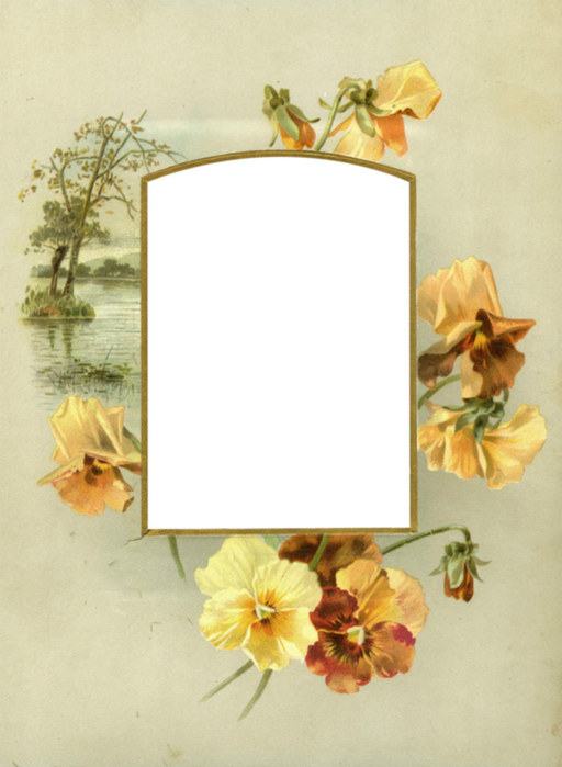 Floral_Frame_No5_by_DustyOldStock (512x700, 309Kb)