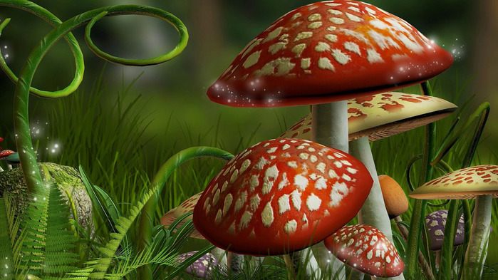 mushrooms-wallpaper-1366x768 (700x393, 127Kb)