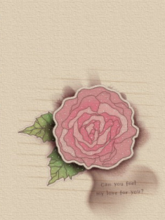 2G0520534A (240x320, 63Kb)