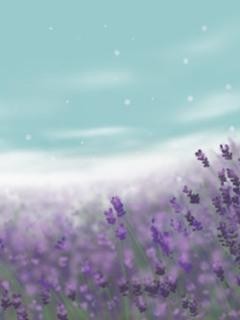 05120F33554 (240x320, 10Kb)