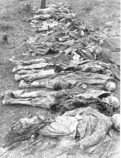 katyn7 (240x313, 43Kb)