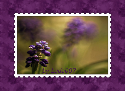 3427527_f534182ccb4b (440x319, 253Kb)