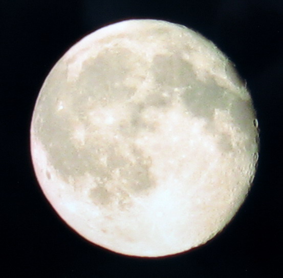 luna_1 (553x542, 55Kb)