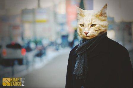 navalny_the_cat_by_kraftzarco-d3lme9l (448x298, 15Kb)