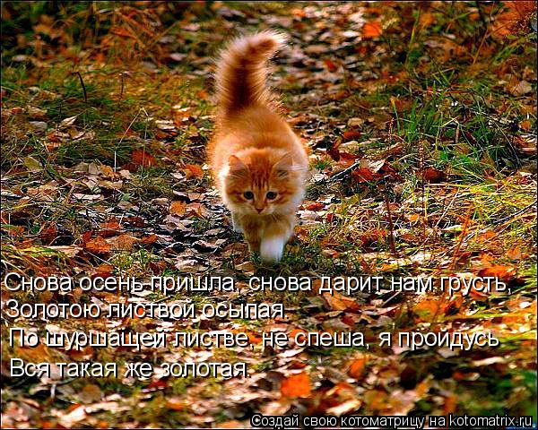 http://img1.liveinternet.ru/images/attach/c/4/79/147/79147077_79101325_d11.jpg