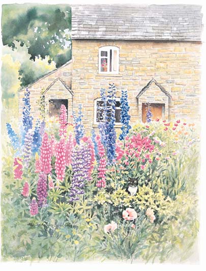 bourton_cottage_lupines2 (405x532, 69Kb)