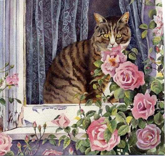 Tabby_Pink_Roses3 (527x500, 65Kb)