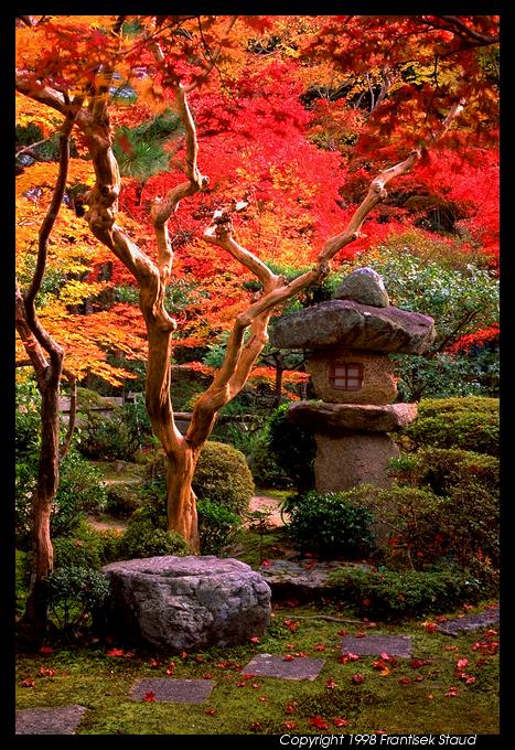 momiji-garden-enkoji-31_3 (467x680, 105Kb)