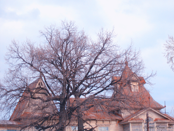 IMG_0003 (700x525, 469Kb)