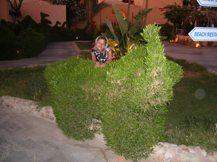 DSCF1114 (700x525, 194Kb)