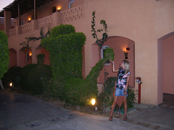 DSCF1118 (700x525, 140Kb)