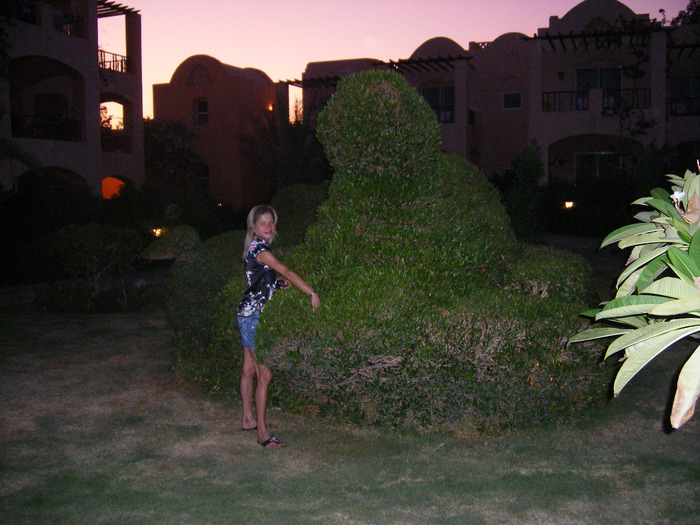 DSCF1124 (700x525, 153Kb)