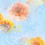 12 (150x150, 57Kb)