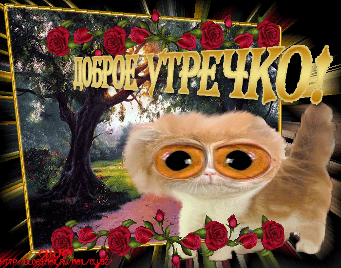 Прикольные осенние открытки доброе утро, пенсией поздравление
