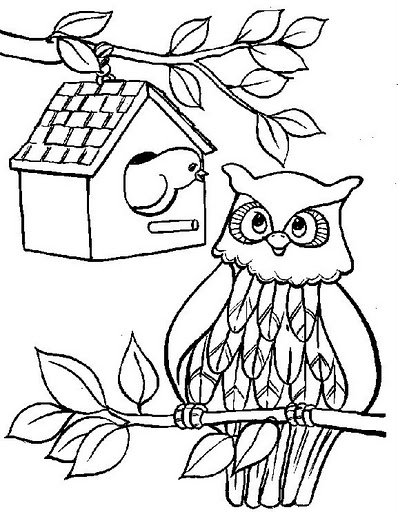 owl_gif (398x512, 67Kb)