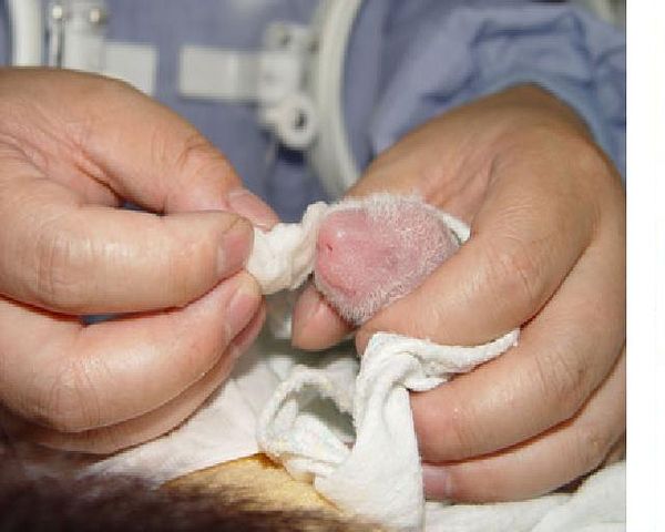 getImage1 (600x480, 37Kb)