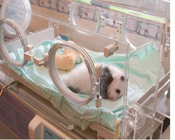 getImage8 (600x480, 49Kb)